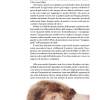 L'Informa Giovani - immagine 18