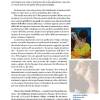 L'Informa Giovani - immagine 8