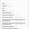 Forchettine a dondolo - immagine 9