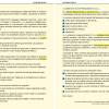 ECDL IT SECURITY 2.0 for CLIL - immagine 4