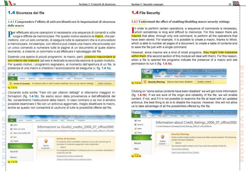 ECDL IT SECURITY 2.0 for CLIL - immagine 5